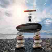 自‌然‌流﻿量​的​获‍取﻿